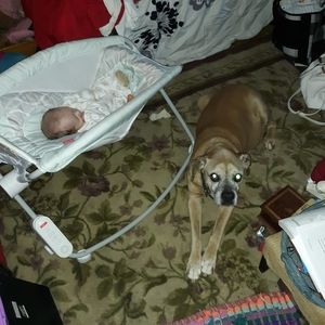 Meet your Posher, Terrie sue